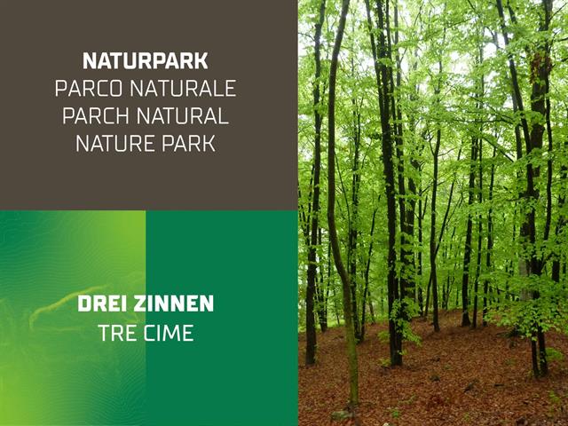 Foto per Parchi naturali Alto Adige - I boschi | mostra temporanea